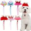 Pet Hat, Lace Colorful Cute Hat for Dogs and Cats