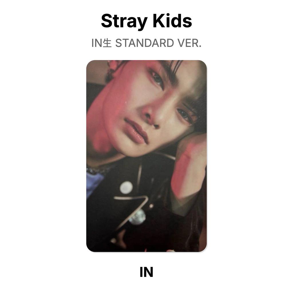 Stray Kids IN STANDARDVERSION. Offizielle Fotokarte
