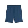Puma Individual Final Printed Casual Training Mid-Rise Sports Shorts Men Shorts Blue 659019-56