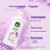 Dettol Moisturizing Antibacterial Shower Gel with Freesia & Pear Scent