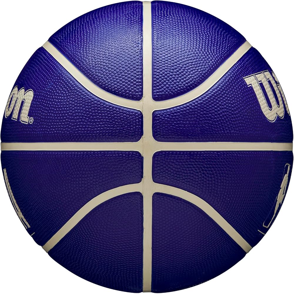 Wilson NBA DRV Drive Indigo Outdoor Basketball Size 5 WZ3016201XB5