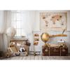 Plane Suitcase Map Travel Birthday Decor Baby Shower Vinyl Cloth Photo Backgrounds Photography Backdrops Photocall Photo Studio