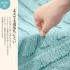 AYO Bath for Entryways and Bathrooms Mat, Absorbent, Washable, Quick-Drying, Fluffy, Microfiber, Non-Slip, 4060cm, Large, Green,