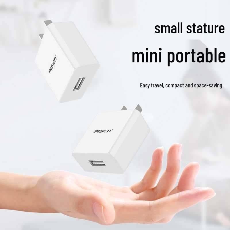 PISEN Dual-Port USB Charger, Fast Charging for Apple, Android, and Tablets.