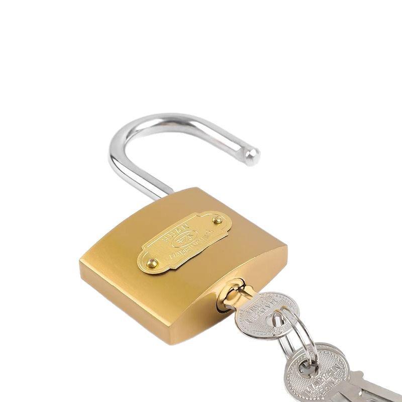 Lucchetto Universale Multi-Porta: Chiave Singola per Serrature in Rame Multiple