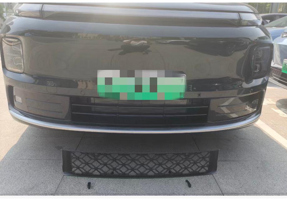 Leapmotor D19 Insect Net Grille: Dustproof Radiator Air Inlet Cover Protection Accessory