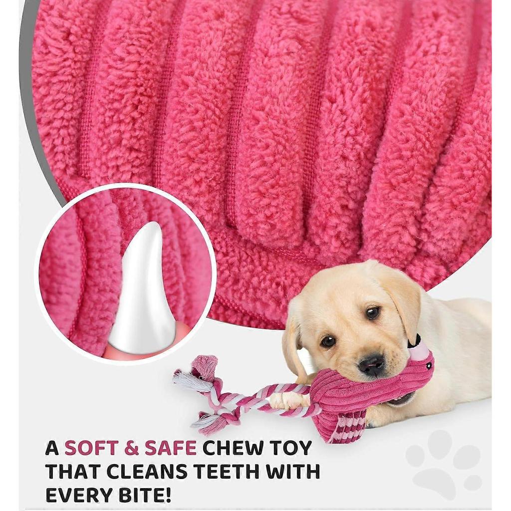 Squeaky Dog Toys - Plush Dog Toys with Soft Durable Fabric for Small Medium Large Breeds, Interactive Tug of War Rope Chew Toys, Teeth Cleaning, Denta