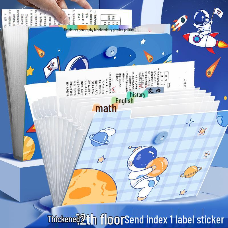 A4 Accordion Folder: Student Test Paper Holder with 12 Pockets, 8 Pockets Cute Transparent Organizer.