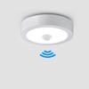 Ceiling Lamp With PIR Motion Sensor 110V 220V 6W -18W Led Lights For Room Lampara Techo Lustre Kitchen Corridor Bedroom Lighting