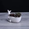 Porzellan Hasenfigur Sukkulenten Pflanztopf Dekorative Desktop Keramik Hase Blumentopf Garten Ornament Handwerkszubehör