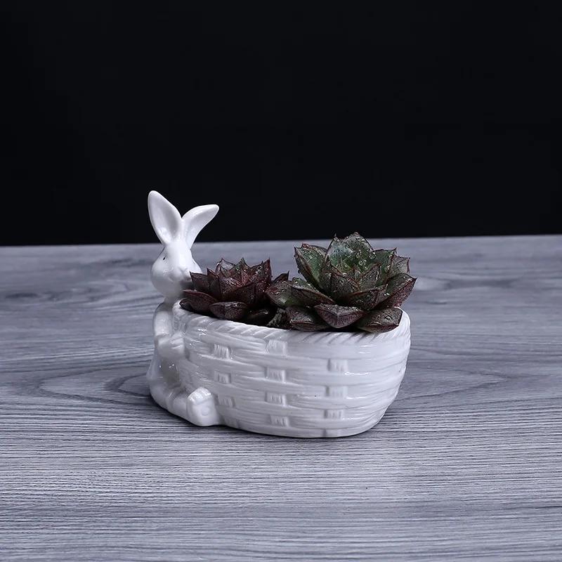 Porzellan Hasenfigur Sukkulenten Pflanztopf Dekorative Desktop Keramik Hase Blumentopf Garten Ornament Handwerkszubehör