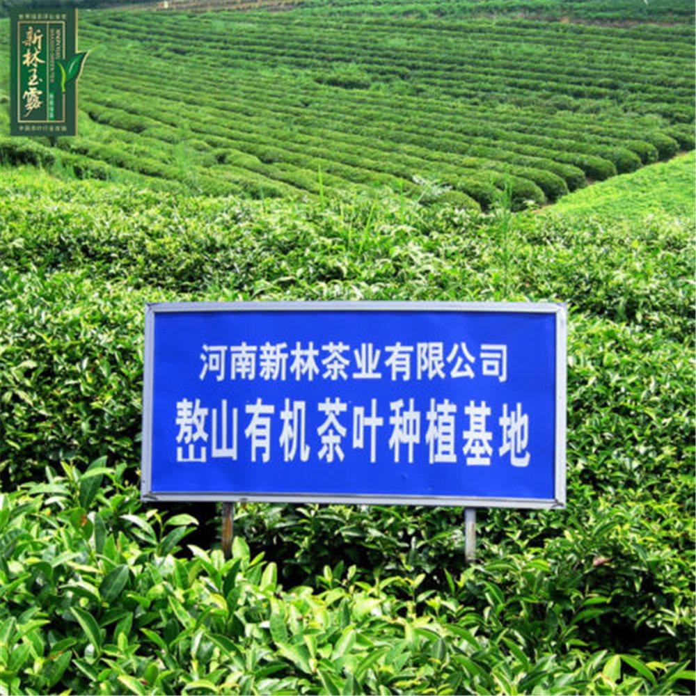 250g Premium Gyokuro Green Tea Loose Leaf Jade Herbal Tea