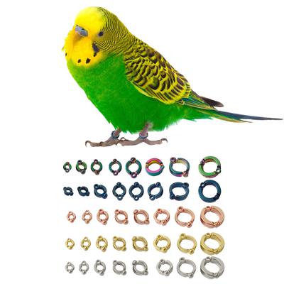 Bird Ring Leg Signs Bird Foot Ring Small Poultry Chicken Supplies Identification 4-15mm for Parrots Budgies