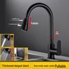 Dual-Outlet Stainless Steel Pull-Out Kitchen Faucet with Rotatable and Retractable Design