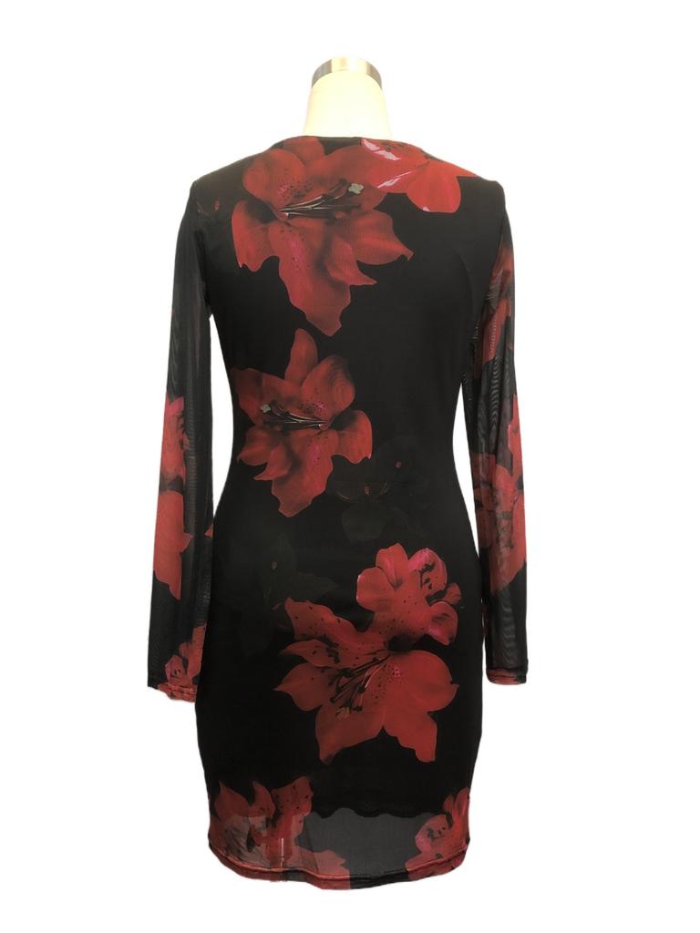 Women Floral Print Mesh Dress Round Neck Long Sleeve Slim Maxi Dress Spring