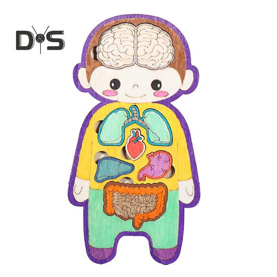 

Игра-головоломка «Внутренние органы человека», обучающая структура человеческого тела, анатомическая головоломка, детская игрушка для малышей из дерева, обучающая игра STEM Sets