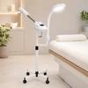 Cosmetic Vapozon with Magnifying Lamp 2 in 1 with Ozone Calissimo