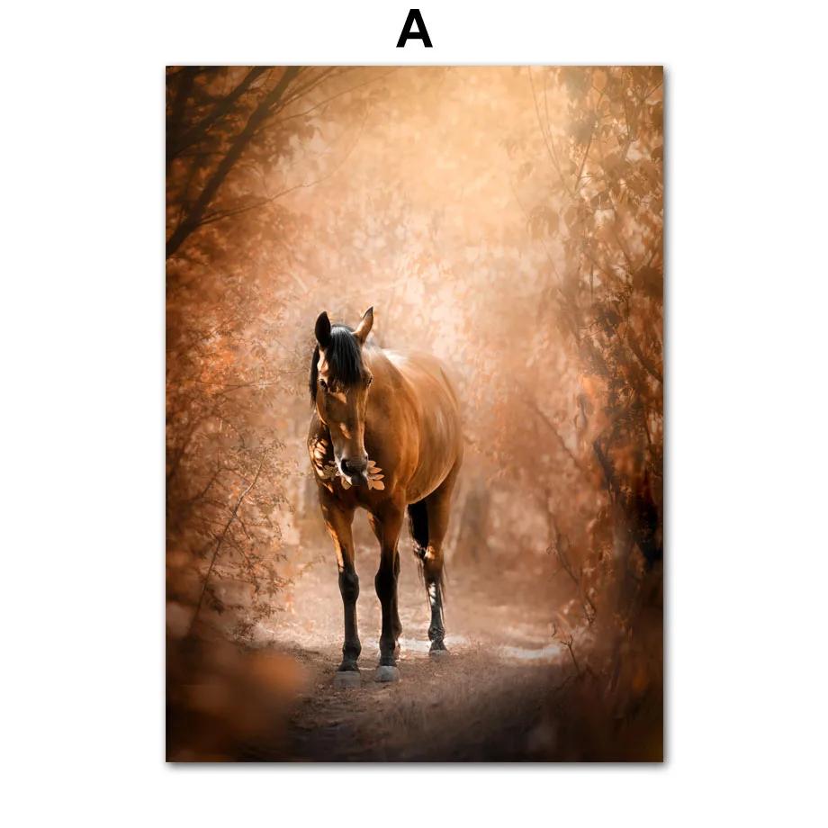 

Осенний Лиственный Лес Сруб Кленовый Лист Природа Постеры и Принты, Настенное Искусство, Холст Картина для Гостиной, Домашний Декор 21x30cm No Framed