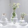 3-teiliges transparentes Mini-Vasen-Set im nordischen Stil, hydroponische Vase, elegante transparente Glasvase für die Küche