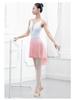 Elastic Waist Irregular Mesh Ballet Dance Skirt for Women