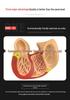 Natural Heart Anatomy Model for Cardiology and Ultrasound Teaching