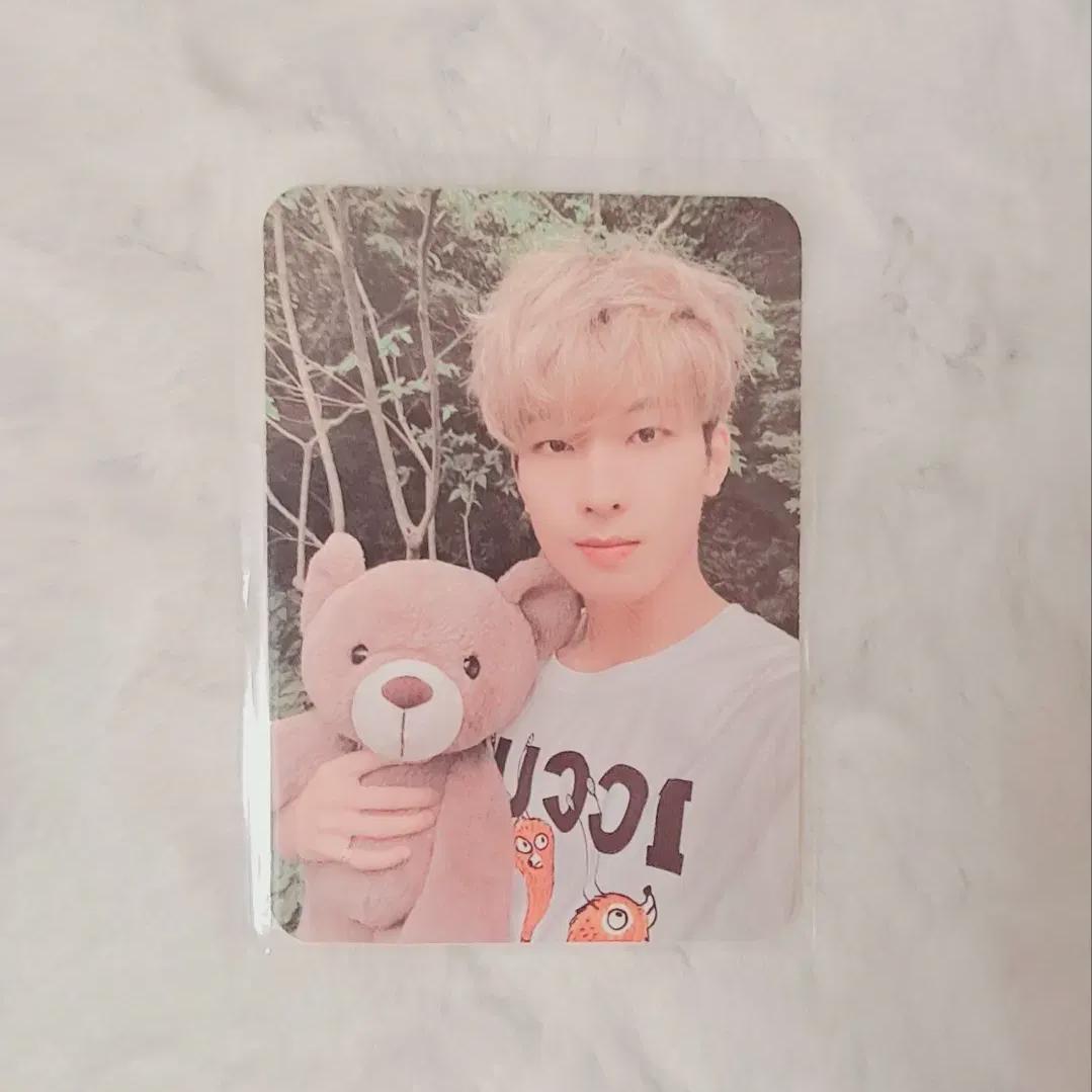 

Seventeen D-icon Winnie The Pooka