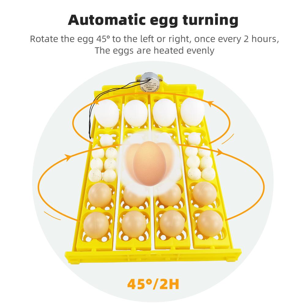 24 Eggs Incubator 12V 110V 220V Egg Tray Eggs Turning Automatic Egg Hatching Incubator for Quail  Goose Duck Bird Poultry