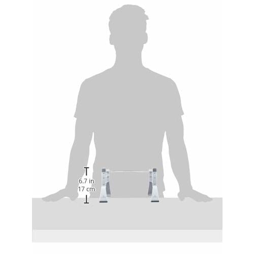 Endo Shoji Commercial Grill Stand, 18-0 Stainless Steel, Made in Korea, DYK35