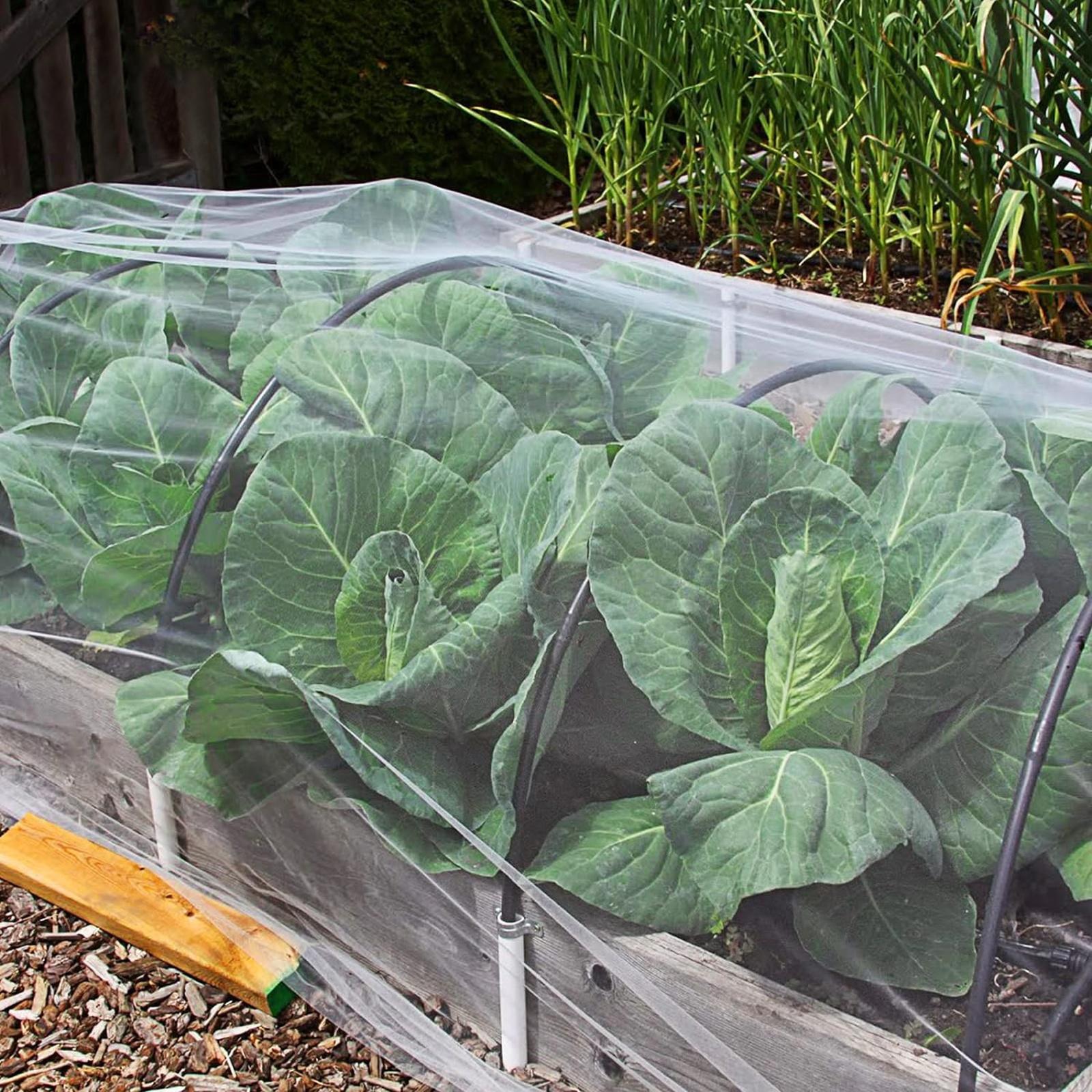 

Садовая сетка, Сверхтонкая садовая сетка Jevrench, Чехол для защиты садовых растений делает растения, овощи, и цветы лучше (4 фута x 25 футов) one size белый