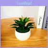 Fake Sinocrassula Indica Plant Pot With Pvc Material For Home Decor And Photography Props