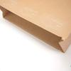 Nexta Small Delivery Bags, Envelopes with Opening Tape, No Cutter Needed, Kraft Paper, Plain, Made in Japan, Approx. 32cm (H) x 26cm (W) x 8cm (D), 10