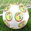 Senegal Football Size 5 Soccer Ball, Machine-Stitched PVC, Durable & High Bounce, All Ages Fit, Fan Merchandise, Matches & Outdoor Use.