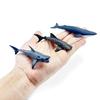12pcs/set pvc Simulated Sea Life Toy Model Realistic Marine Animals Whale Shark Dolphin Turtle  Birthday Gifts for Kids