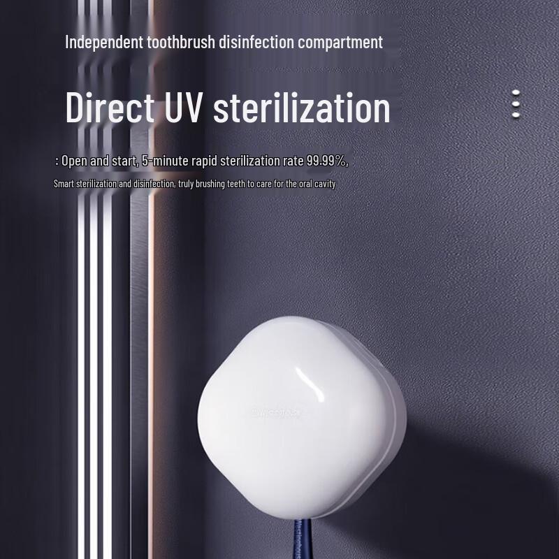 Westinghouse Sonic Electric Toothbrush CN plug (adapter included)