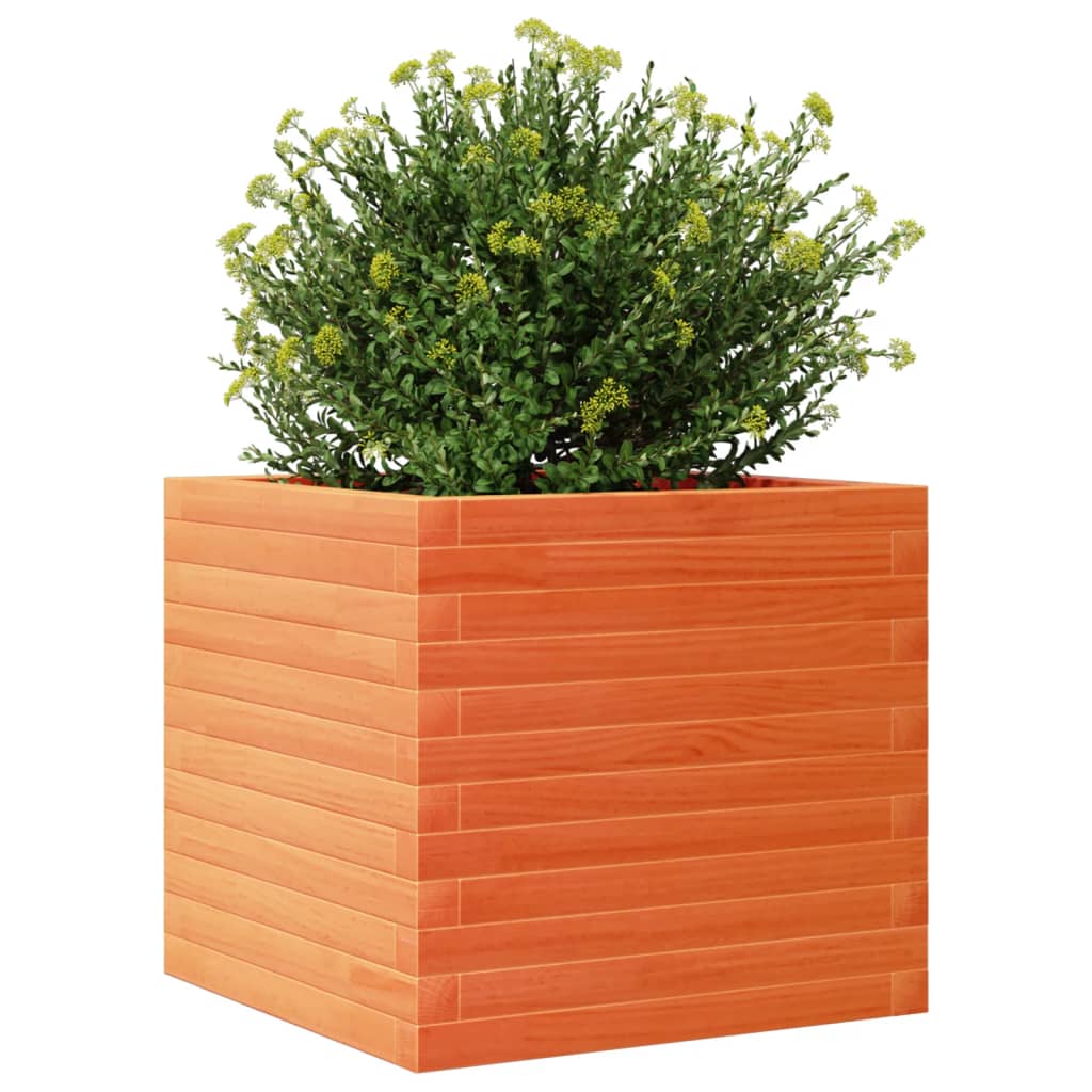 Plant Pot Wax Brown 50 x 50 x 45.5 cm Solid Pine Wood