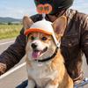 Pet Safety Helmet Small Dogs Adjustable Motorcycle Style Head Protection Cartoon Design Halloween Birthday Party