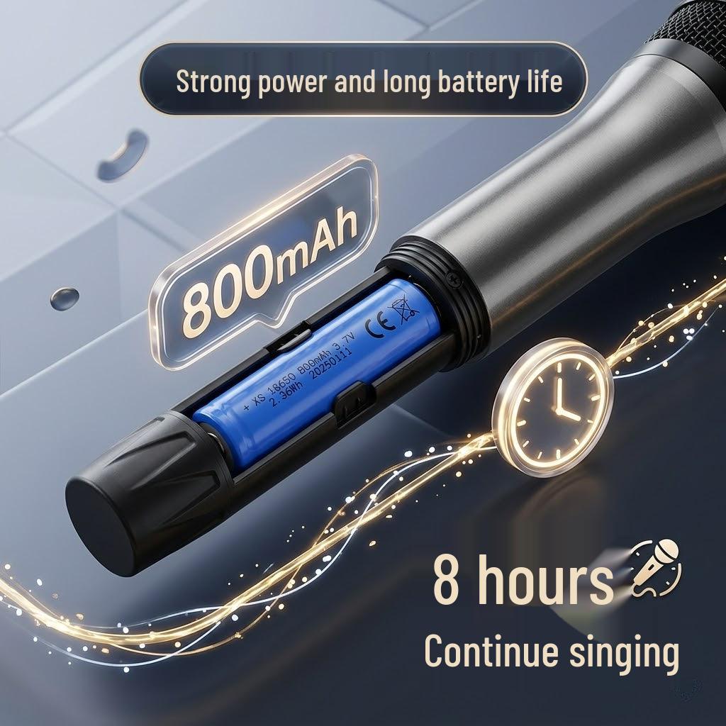Wireless USB Microphone Duo Set for Home Use