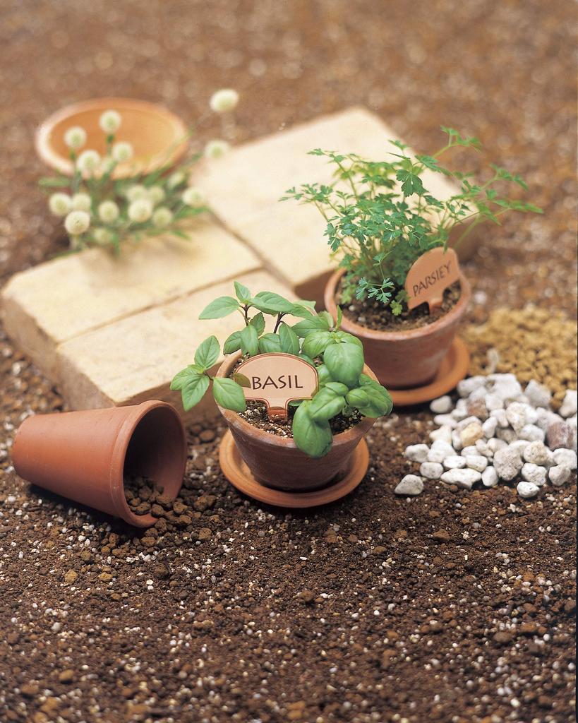 Sano Kikou Flower Plate Pure Copper Nameplate That Changes Over Time (100)