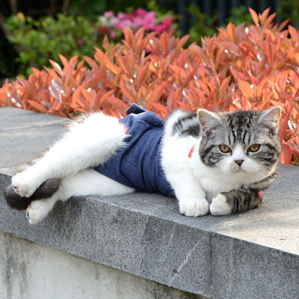 Diaper Pet Physiological Pants Underwear Cat Shorts Puppy Supplies Dog Denim Overall  Spring