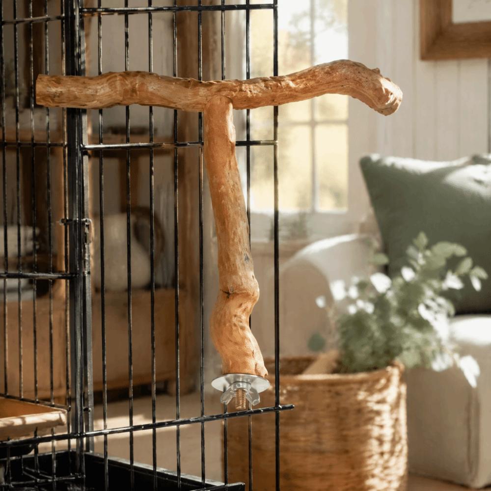 T Shape Design Wood Bird Perch Chewing Texture Paw Grinding Surface Parrot Perch Stand Easy To Install Exercise Platform