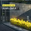 2 Packs Solar Sunflower Lights Intelligent Light Control Outdoor Waterproof Garden Landscape Stake Light (3 sunflowers)