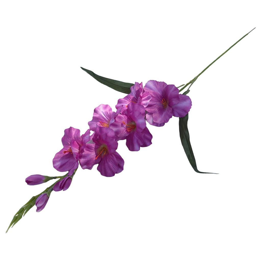 Gladiolus Blooms for Decor