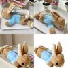 Trousse à Crayons Peluche Peter Rabbit En Matière Douce Pour l'École et le Rangement de Voyage