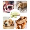 Squeaking Plush Turtles Toy for Dog Chew Stuffed Animal Engagement Teething Toy for Various Breeds Indoor Entertainment