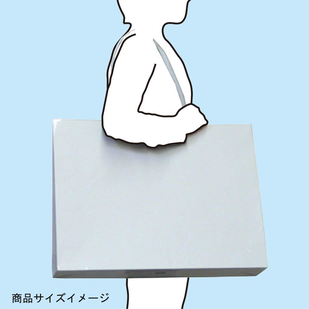 Marutama Kogyo Paper Bags, Shiny Bags, Wide, White, LL Size, 10 Count