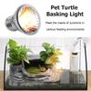 5pcs UVA +UVB Reptile Heating Light Bulb 25/50/75W Snake Turtle Pet Full Spectrum Basking UV Light Bulbs For Amphibians