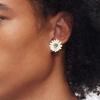 Cercei – Cercei-cuișoare