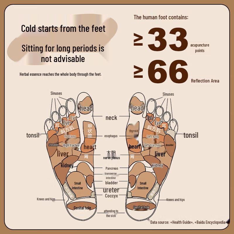 Haishi Hainuo Artemisia Herbal Foot Soak Pack