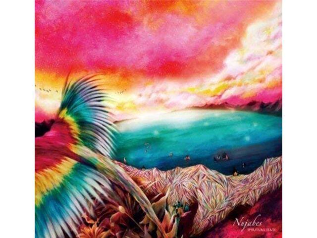 

Spiritual State Nujabes CD Standard Edition HPD-13 nujabes 3rd and last album