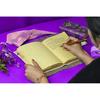 Leather Book of Spells: Luna Moth Journal, Deckle Edge Paper Grimoire